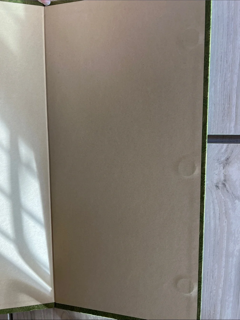 Gucci Green Patterned Magnetic Gift Box